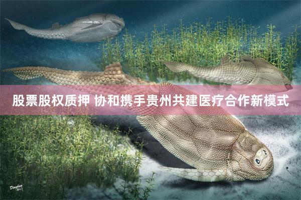 股票股权质押 协和携手贵州共建医疗合作新模式