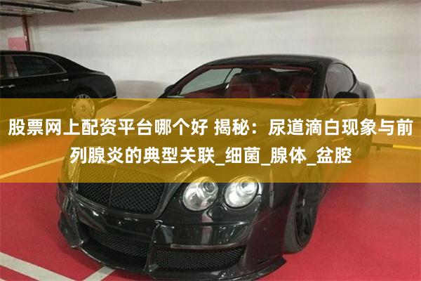 股票网上配资平台哪个好 揭秘：尿道滴白现象与前列腺炎的典型关联_细菌_腺体_盆腔